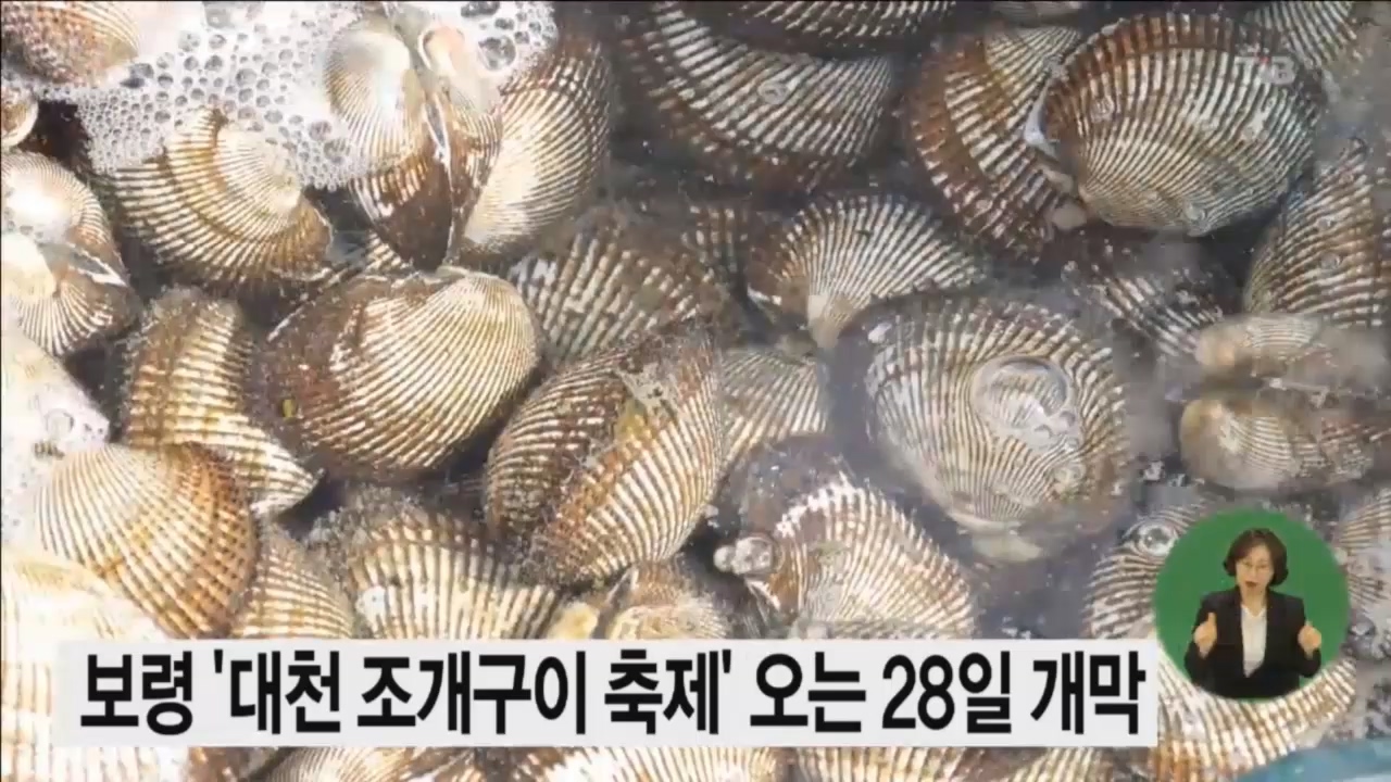 [0423 tjb 뉴스] 보령 대천 조개구이 축제 28일 개막